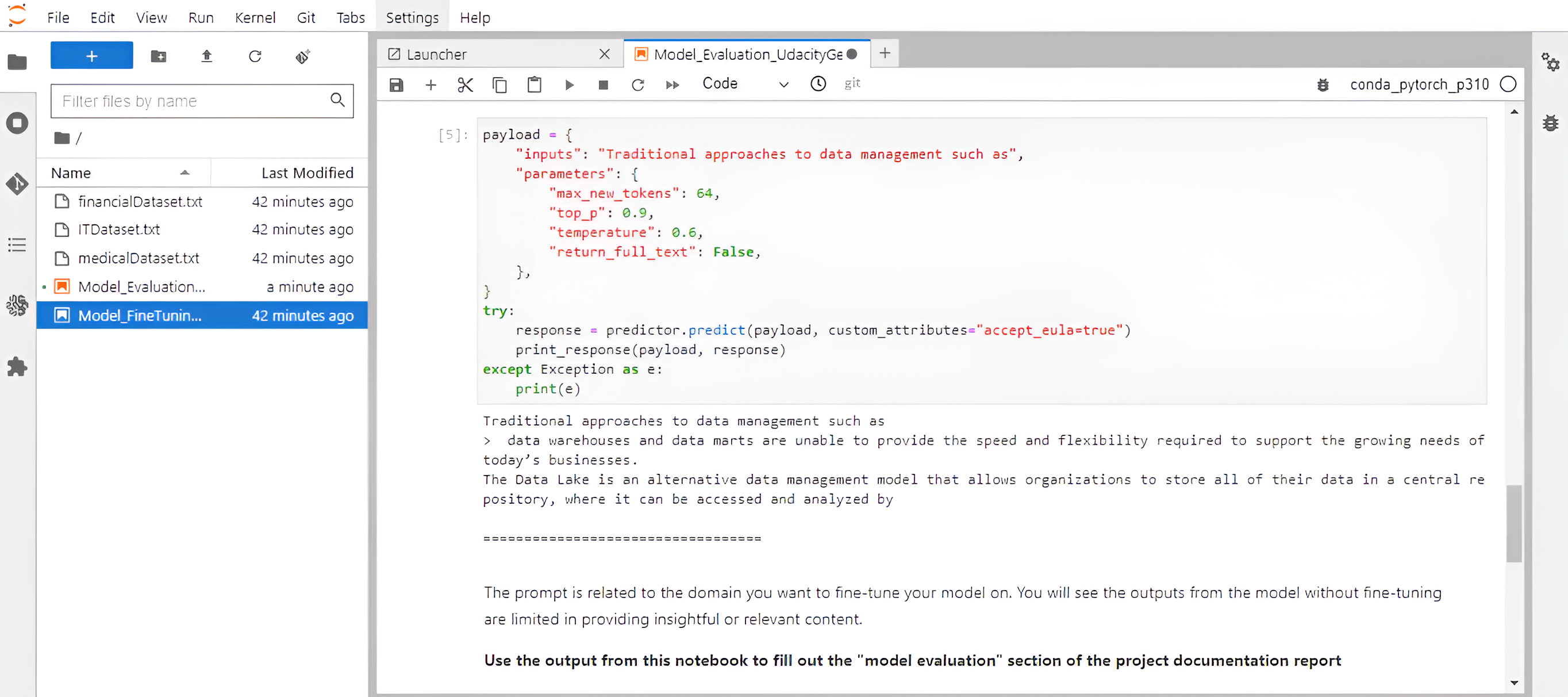 AWS: Model Evaluation With Output