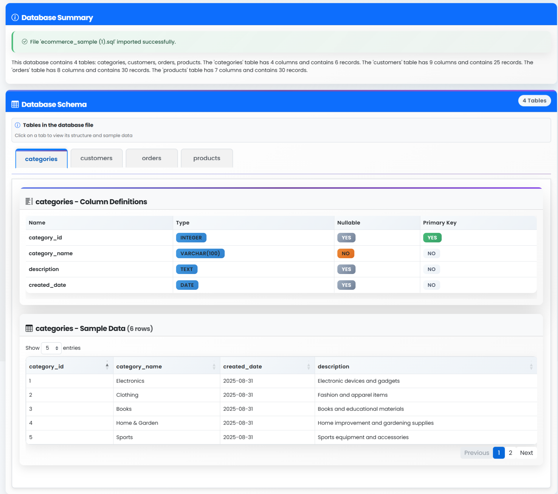 Uploaded File - Schema & Sample Display